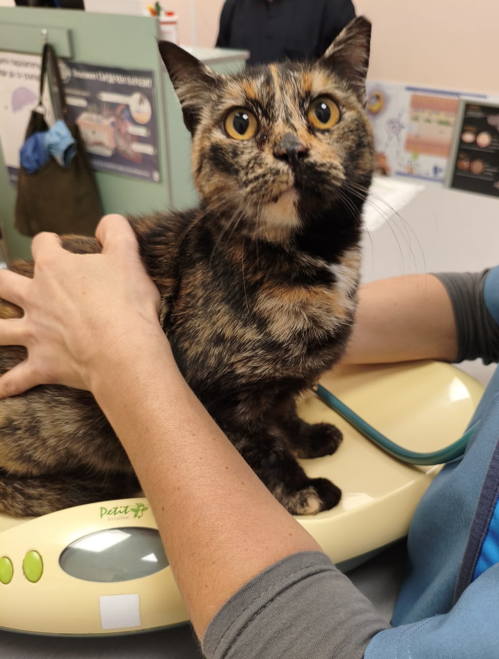 Gesundheit 1_2 Gesundheit 1_2