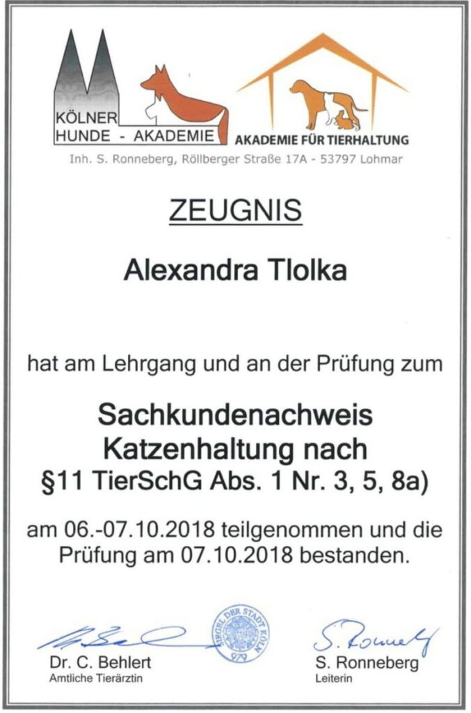 Nachweis §11 - adoption katze - 01. 02. 2026 Nachweis §11